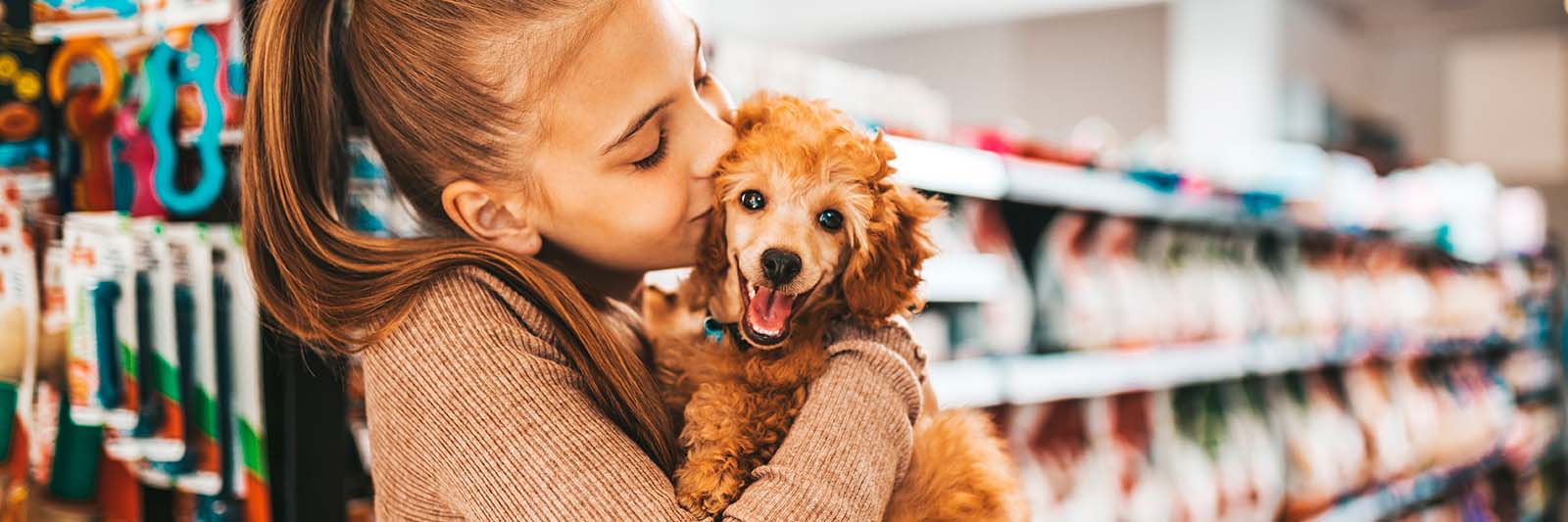 Saúde pet: convênios na Grande São Paulo oferecem descontos em produtos e serviços - Serviços de saúde com atendimento presencial