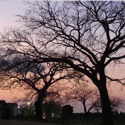 Fotografia e natureza