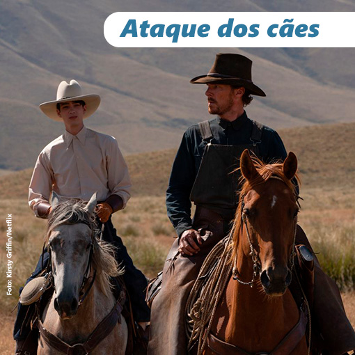 Ataque dos cães. - ANAJUSTRA Federal 