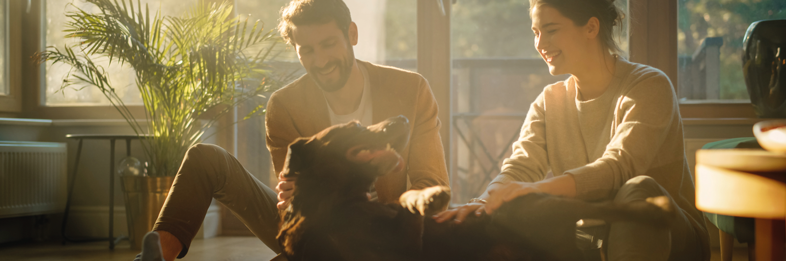 A vida é melhor com um pet - Oferecendo suporte emocional em tempos de isolamento social