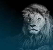 IR 2017: tire dúvidas com o consultor da ANAJUSTRA - -