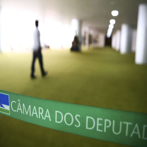Conheça os integrantes da Comissão Especial da reforma administrativa - Colegiado é formado por 34 membros titulares e tem o mesmo número de suplentes.